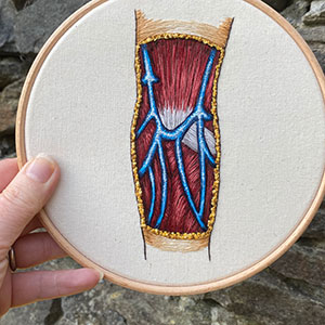  Hand embroidered anatomical art of the blood vessels in the lower warm by Cath Janes