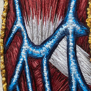  Hand embroidered anatomical art of the blood vessels in the lower warm by Cath Janes