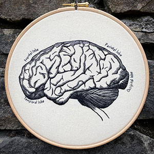 Anatomy of the lobes of the brain embroidery art by Cath Janes