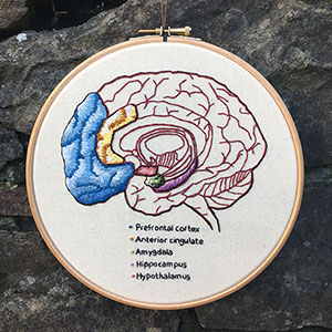 Anatomy of the prefrontal cortex of the brain embroidery art by Cath Janes