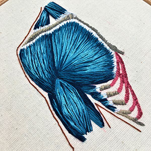  Hand embroidered anatomical art of the chest by Cath Janes