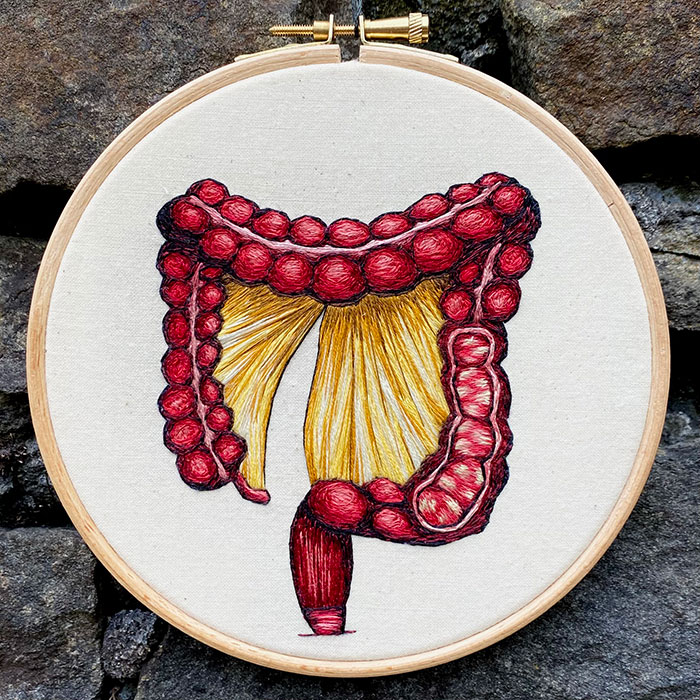 Embroidered hoop of the colon by Cath Janes