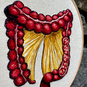  Hand embroidered anatomical art of the colon by Cath Janes