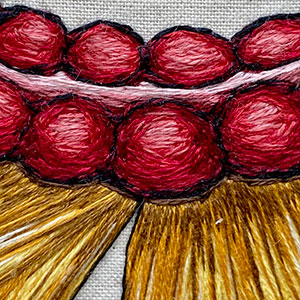  Hand embroidered anatomical art of the colon by Cath Janes