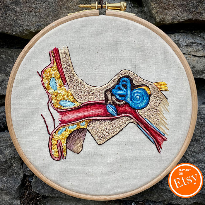Embroidered hoop of the inner ear by Cath Janes
