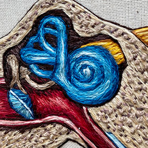  Hand embroidered anatomical art by Cath Janes