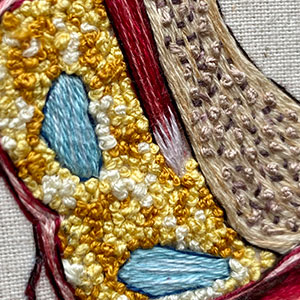  Hand embroidered anatomical art by Cath Janes