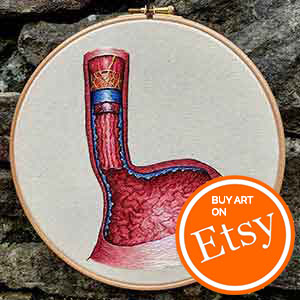 Embroidered anatomy of the esophagus stitched by Cath Janes of Cath Janes