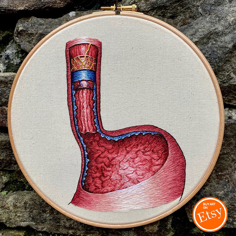 Embroidered hoop of the esophagus by Cath Janes