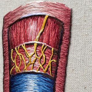  Hand embroidered anatomical art by Cath Janes