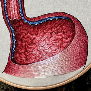  Hand embroidered anatomical art by Cath Janes