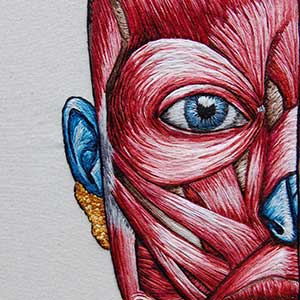  Hand embroidered full facial anatomy of the muscles and face by Cath Janes