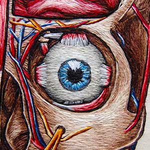  Hand embroidered full facial anatomy of the muscles and face by Cath Janes