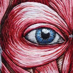  Hand embroidered full facial anatomy of the muscles and face by Cath Janes