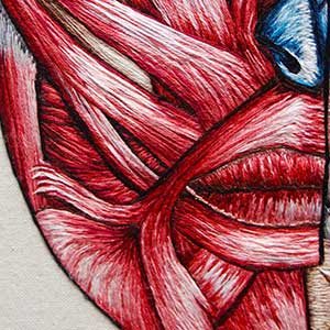  Hand embroidered full facial anatomy of the muscles and face by Cath Janes