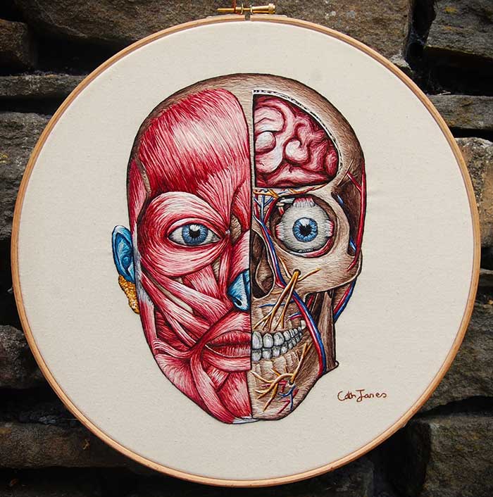 Embroidered hoop of a cross section of the bone structure and muscular anatomy of the face by Cath Janes