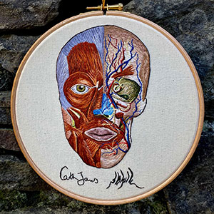 Anatomy of the head, blood vessels and muscles embroidered by Cath Janes commissioned by medical illustrator Alfredo Torres
