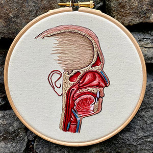 Anatomy of the head, blood vessels and muscles embroidered by Cath Janes commissioned by medical illustrator Alfredo Torres