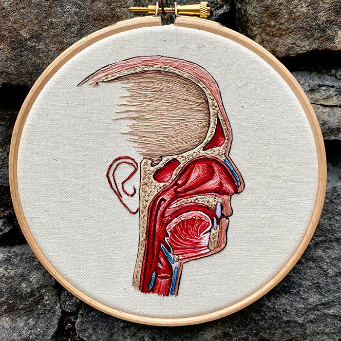 Embroidered hoop of the human head by Cath Janes