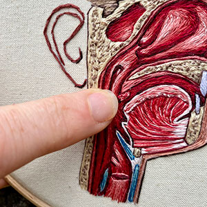  Cross section of the head. An embroidered anatomical designs  by Cath Janes