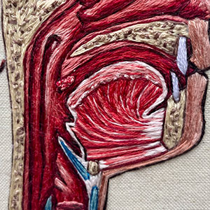  Cross section of the head. An embroidered anatomical designs  by Cath Janes