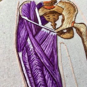 embroidered anatomical art by Cath Janes