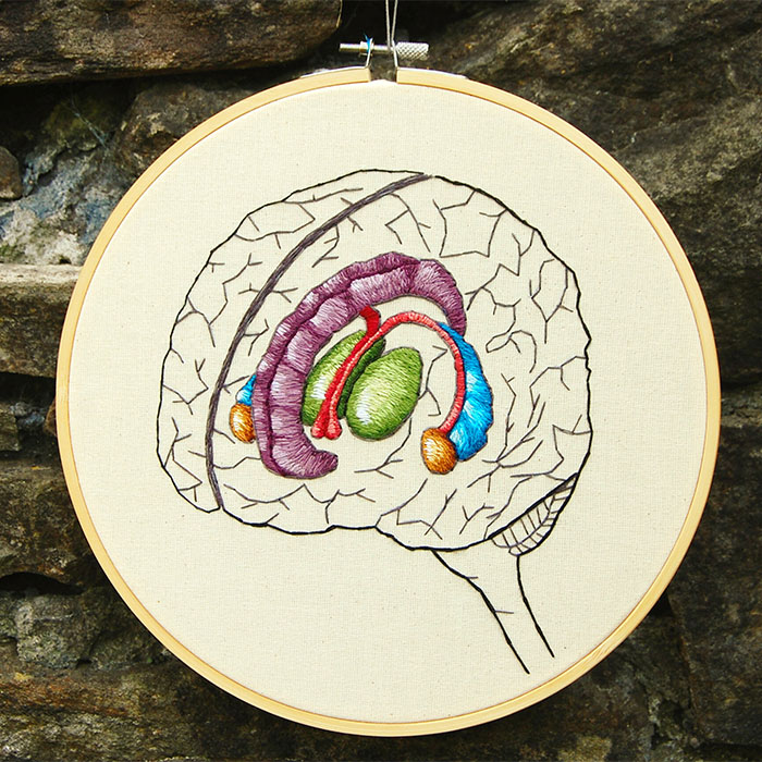 Embroidered hoop of the hippocampus by Cath Janes