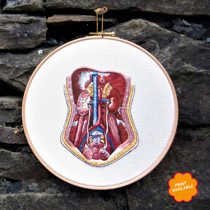 Embroidered hoop of the kidney by Cath Janes