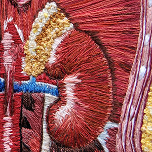 embroidered anatomical art by Cath Janes