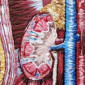 embroidered anatomical art by Cath Janes