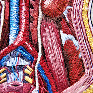 embroidered anatomical art by Cath Janes