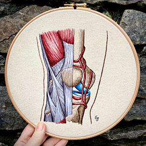 Anatomy of  the knee.  A cross section in embroidery by Cath Janes