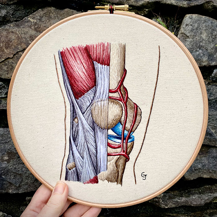 Embroidered hoop of the human knee by Cath Janes