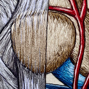 embroidered anatomical art by Cath Janes
