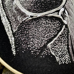 embroidered anatomical art by Cath Janes
