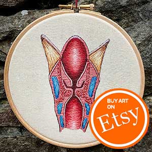 Anatomy of the larynx.  A cross section in embroidery by Cath Janes