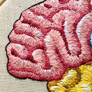  Hand embroidered anatomical art by Cath Janes
