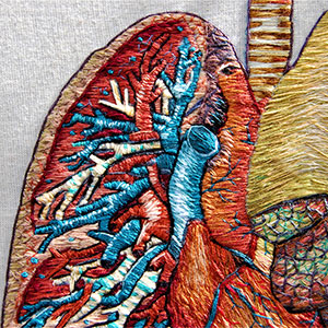embroidered anatomical art by Cath Janes