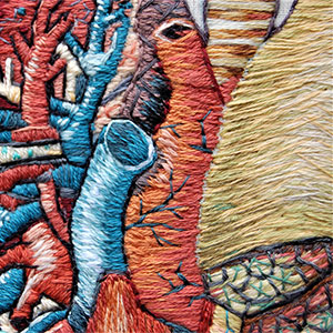 embroidered anatomical art by Cath Janes