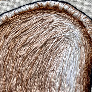 embroidered anatomical hoop of the obturator foramen