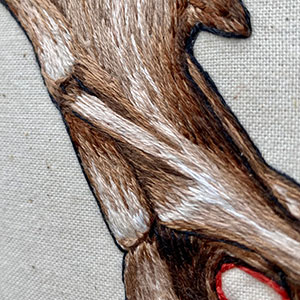 embroidered anatomical hoop of the obturator foramen