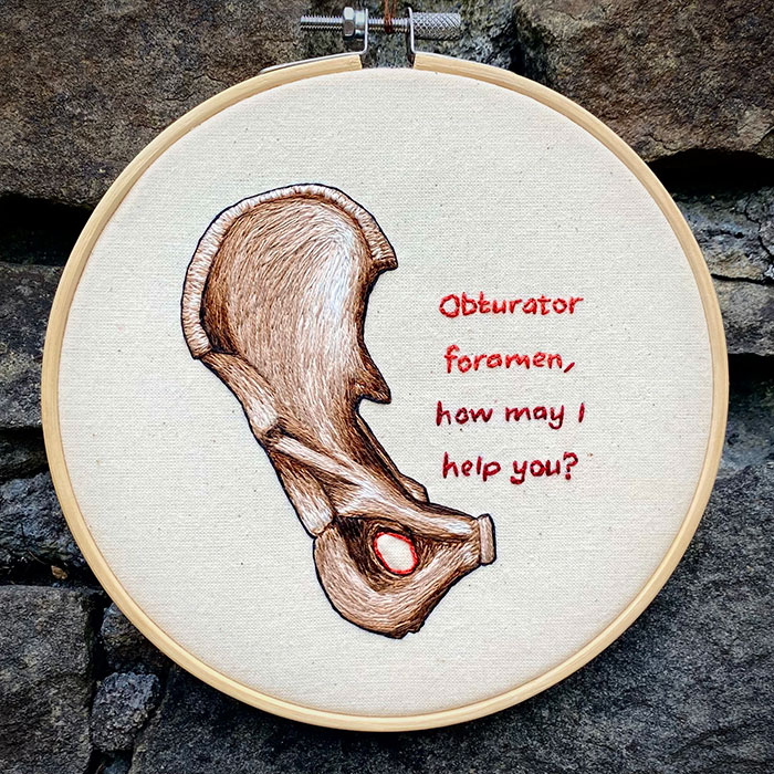 Embroidered hoop of the obturator foramen by Cath Janes
