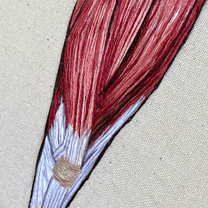  Hand embroidered anatomical art by Cath Janes