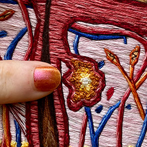  Hand embroidered anatomical art by Cath Janes