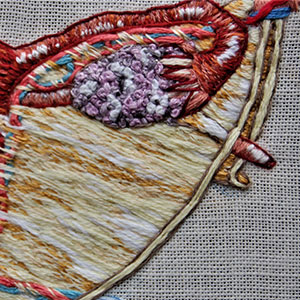  embroidered anatomical art by Cath Janes