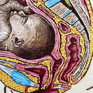  Hand embroidered anatomical art by Cath Janes