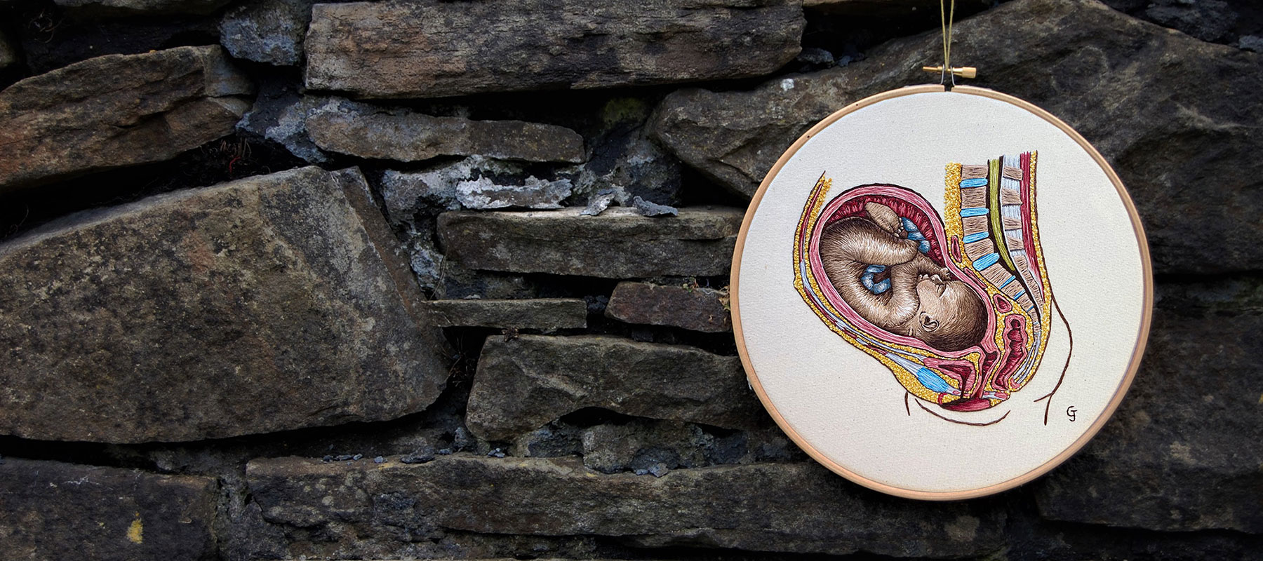 Cath Janes is an award winning medical anatomy illustrator using embroidery as a medium