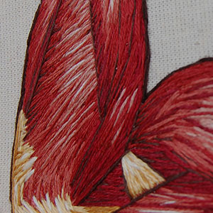  embroidered anatomical art by Cath Janes