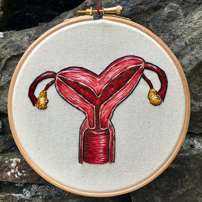 Embroidered hoop of a cross section of a biocornate uterus by Cath Janes