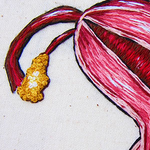  Hand embroidered biocornuate uterus by Cath Janes